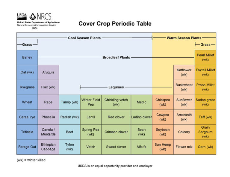 Cover Crop Reference Tools | Agronomy Support | Mighty Mustard